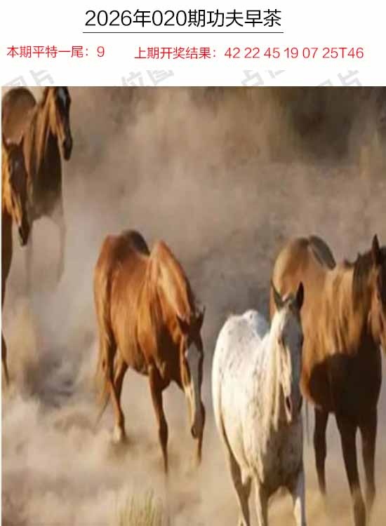 020期功夫早茶[图]