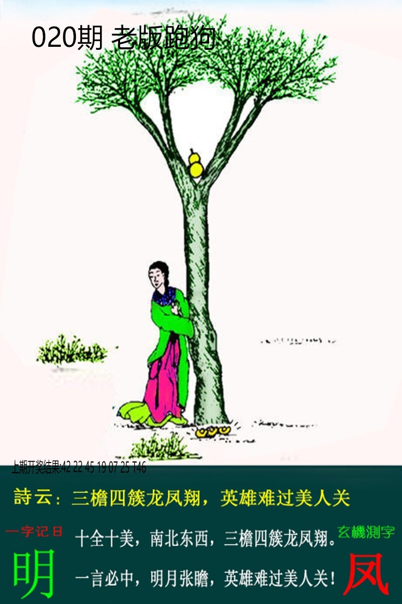 020期老板跑狗[图]