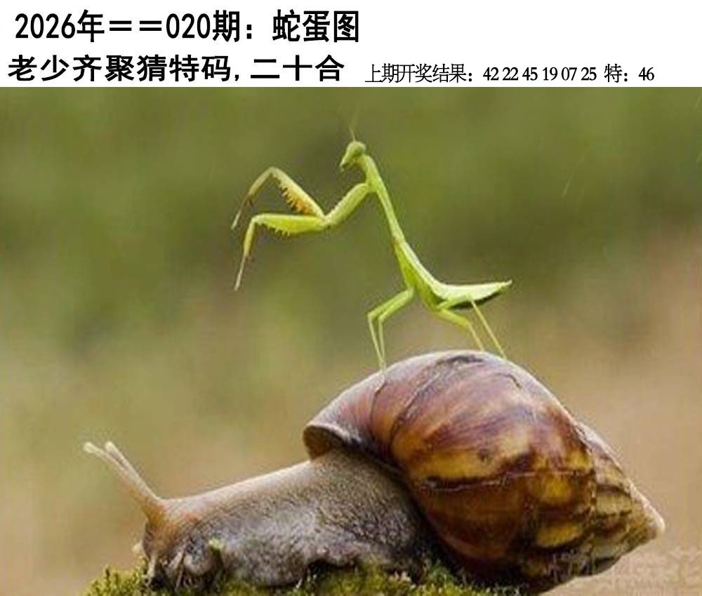 020期另版蛇蛋图[图]