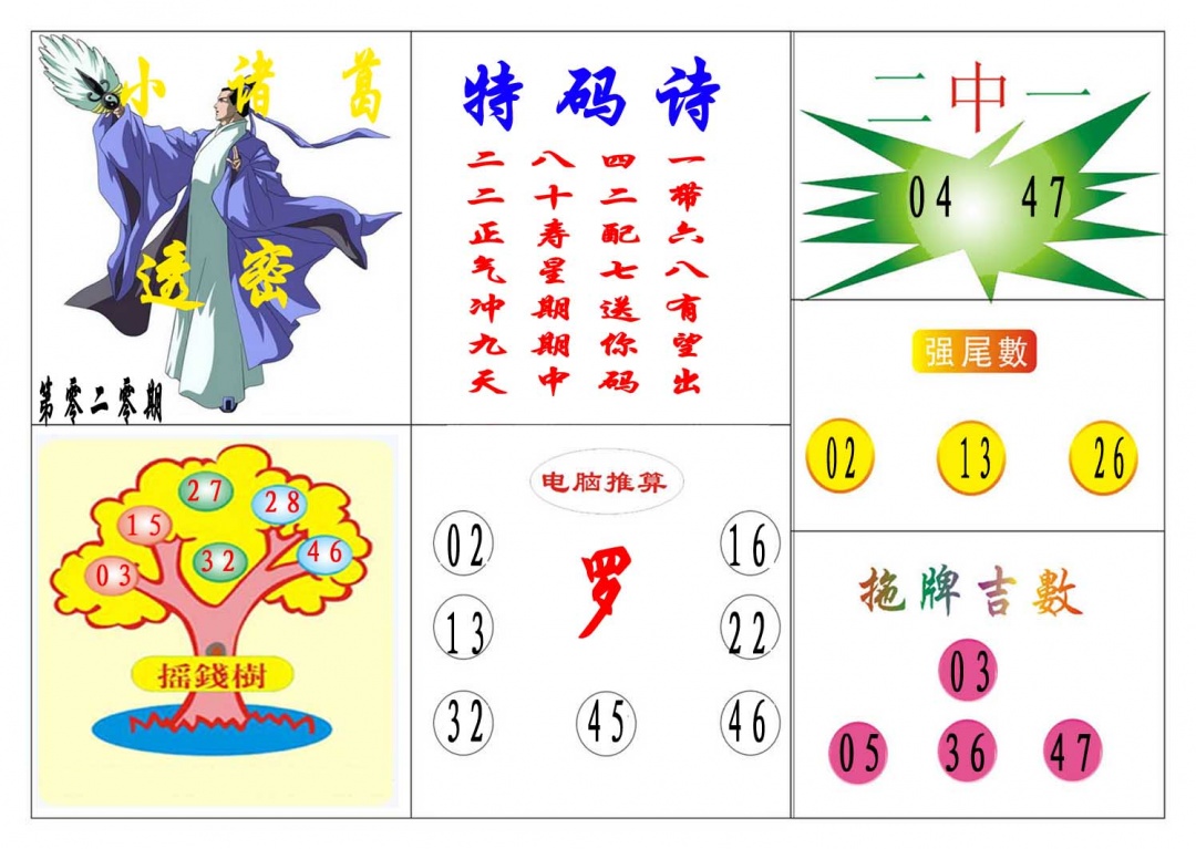 020期小诸葛[图]