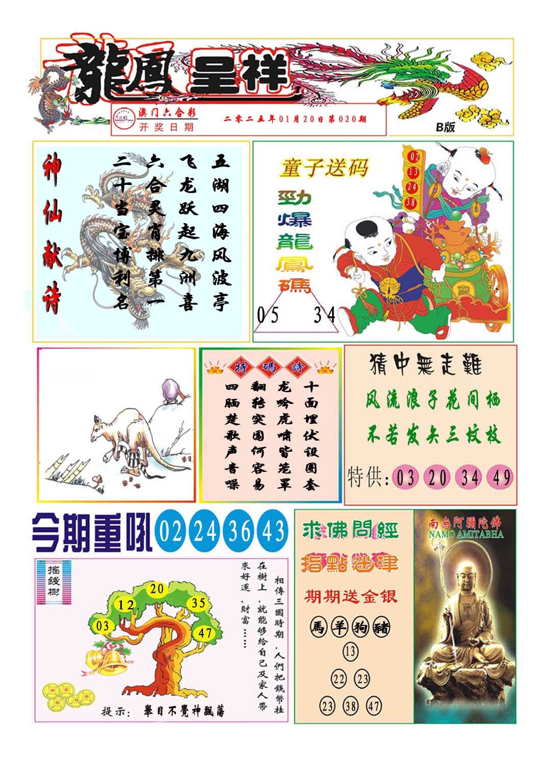 020期龙凤呈祥B[图]