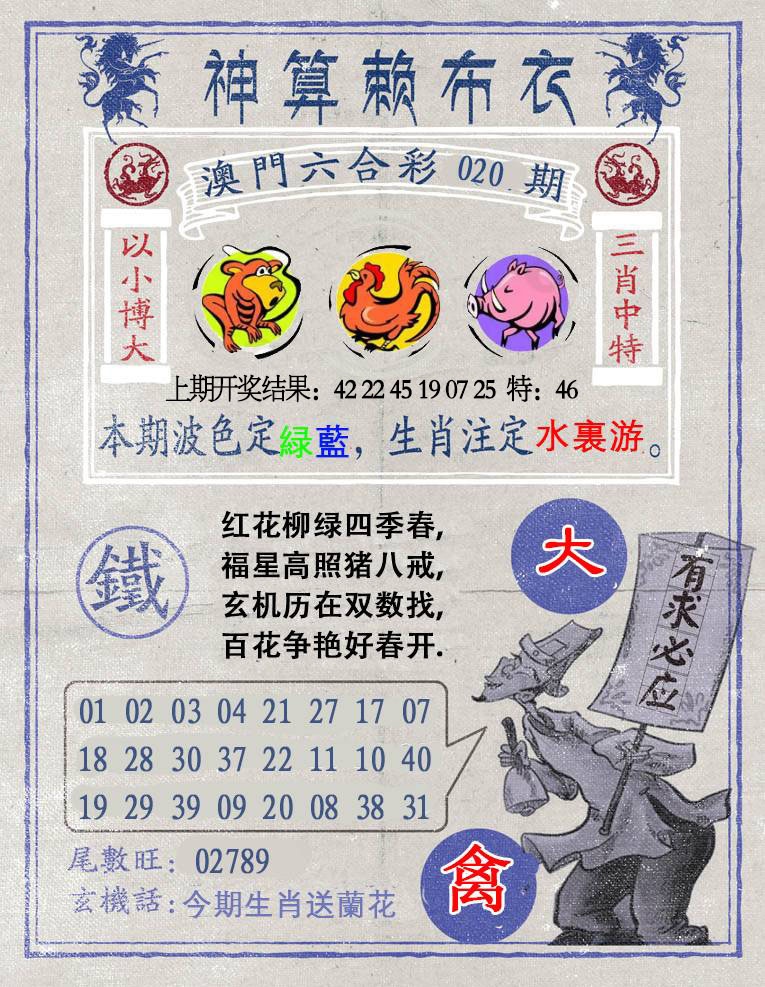 020期神算赖布衣[图]