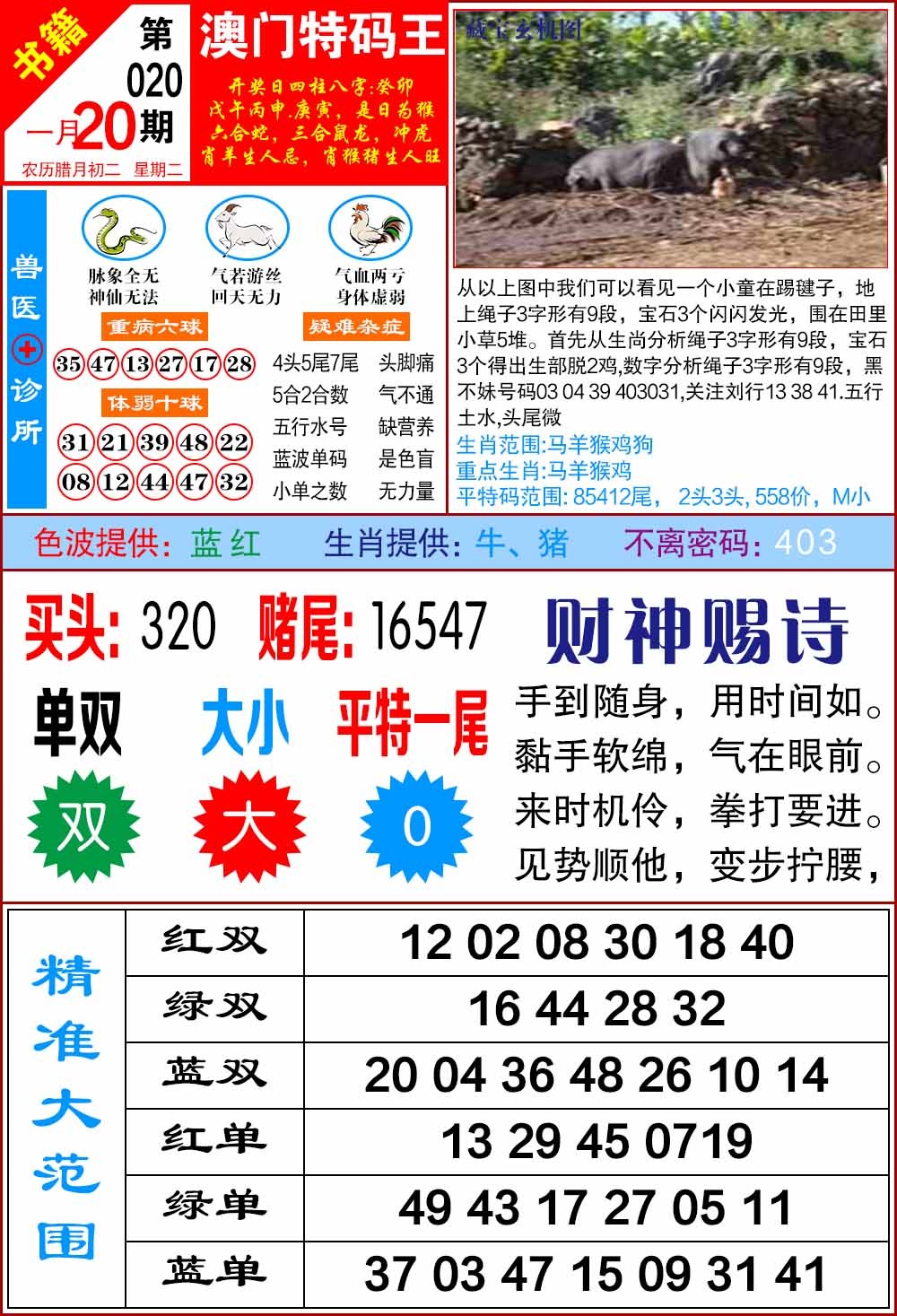020期澳门特码帝[图]