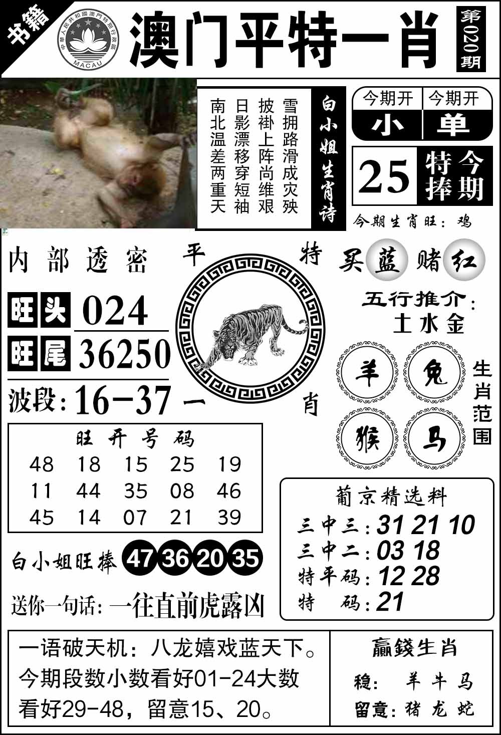 020期澳门内部透密[图]