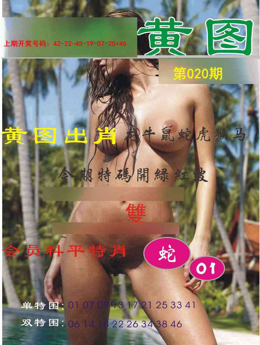 020期黄图[图]