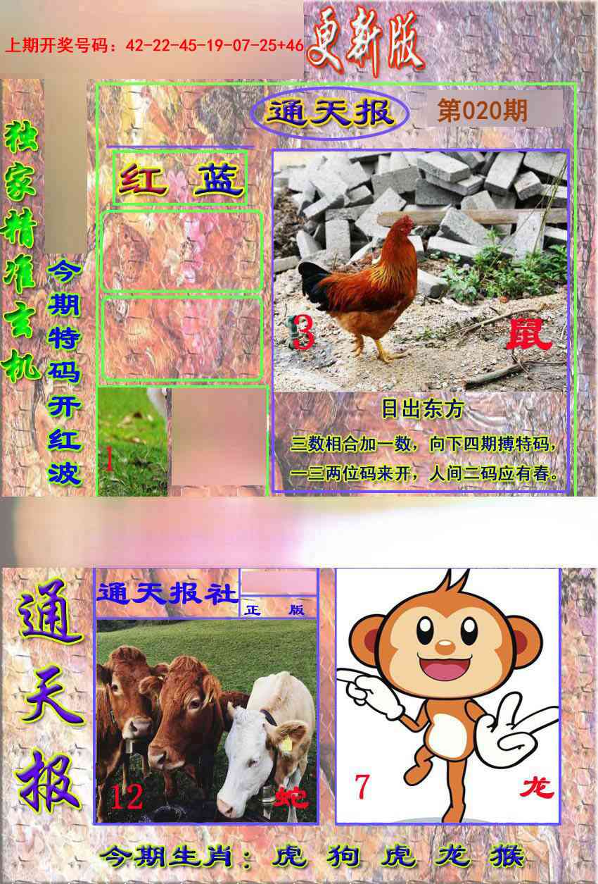 020期新通报[图]