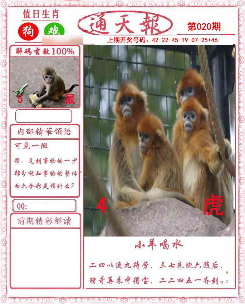 020期正版通天报[图]