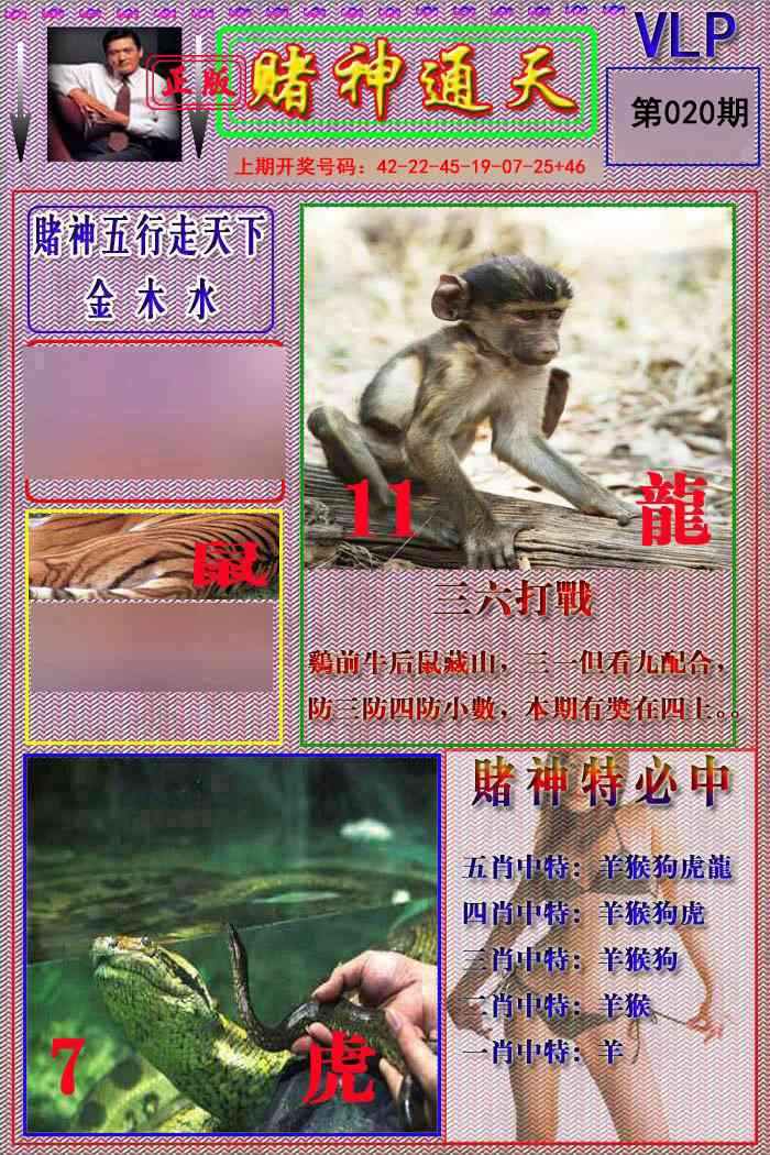 020期赌神通天报[图]
