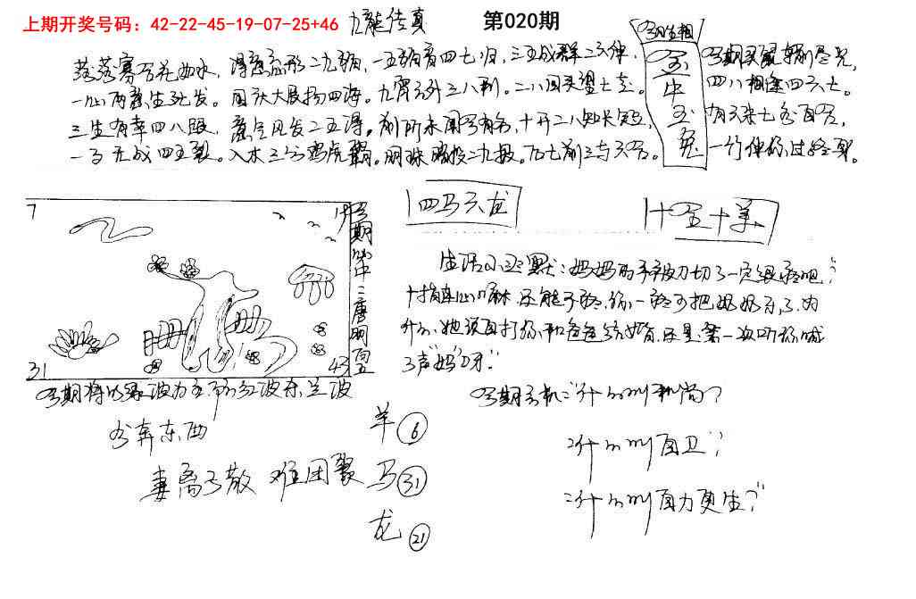 020期手写九龙内幕[图]