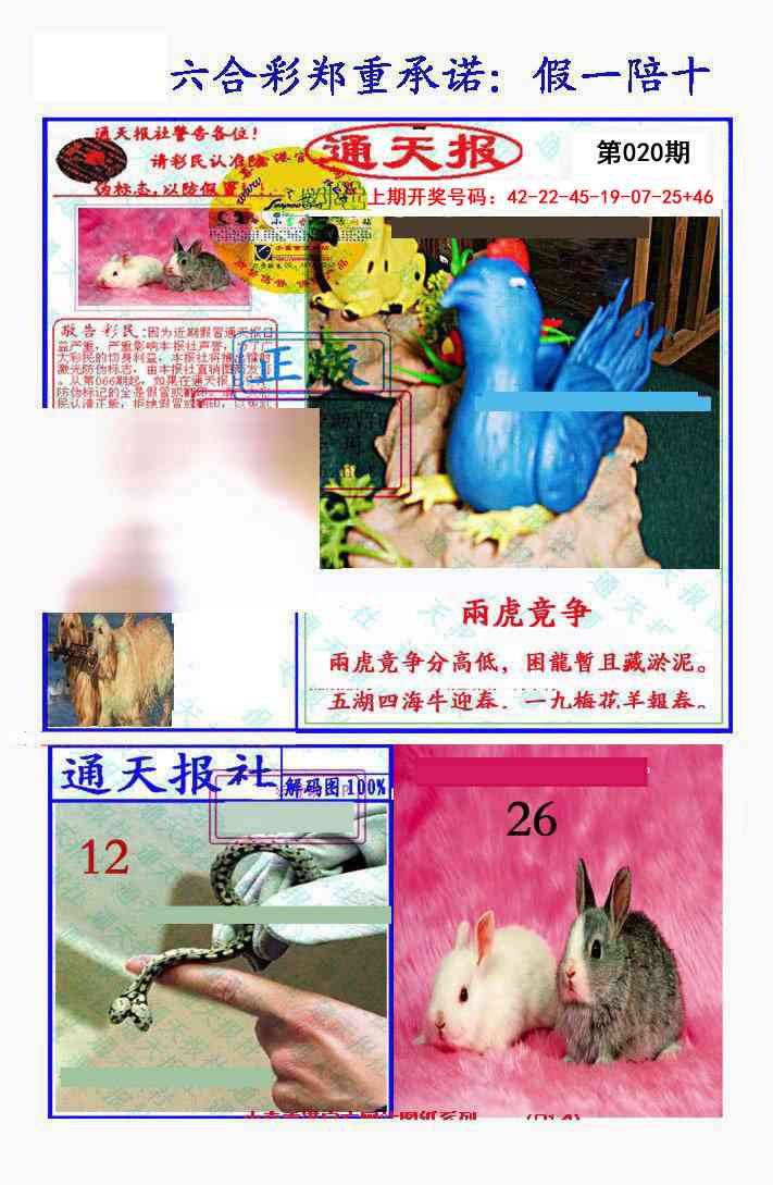 020期假一陪十通天报[图]