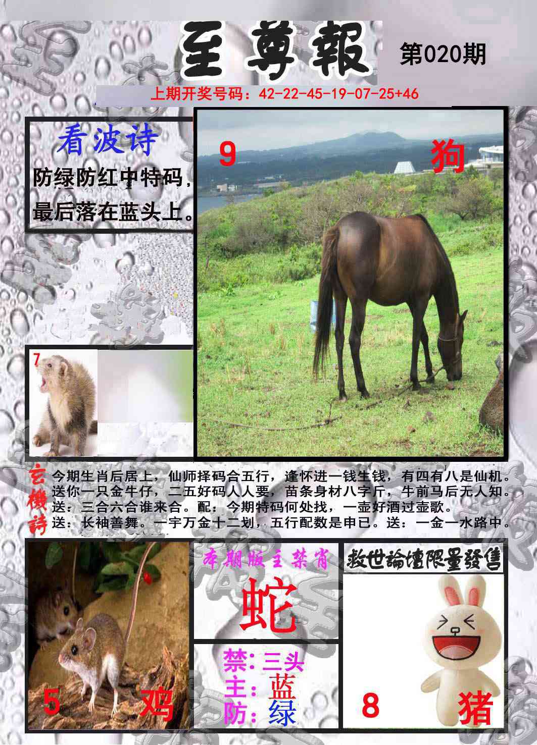 020期至尊报[图]