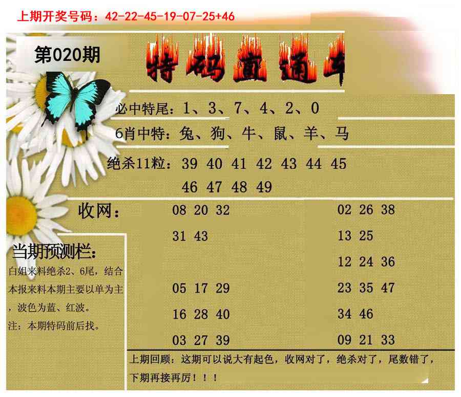 020期特码直通车[图]