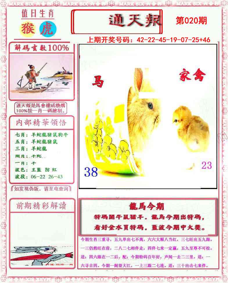 020期小喜通天报[图]