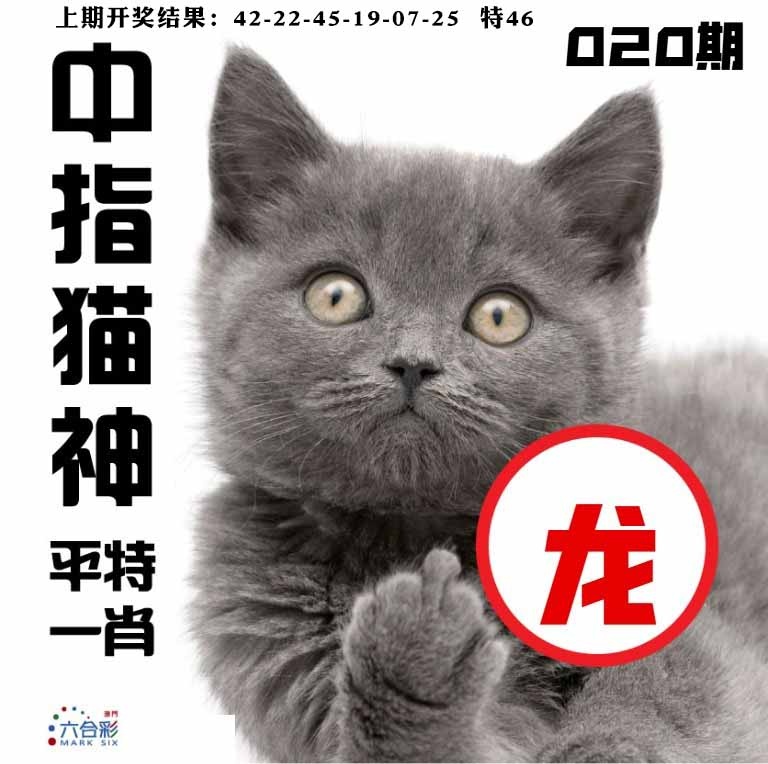 020期中指猫神[图]